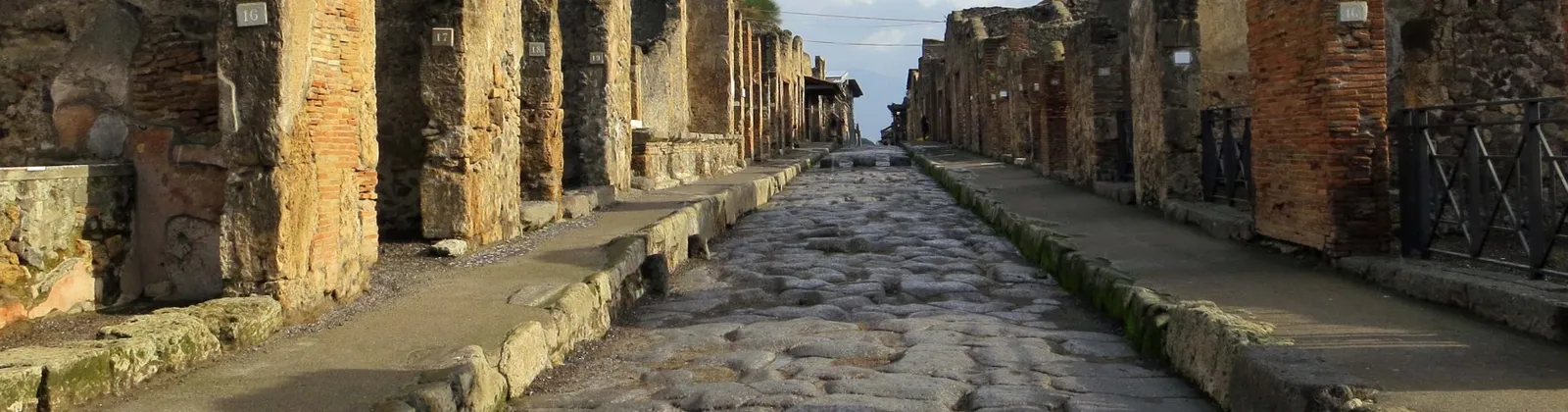 Pompeii-Wine tasting from Rome