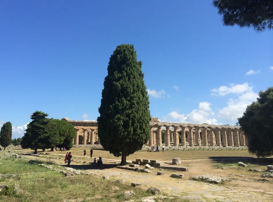 Paestum & Buffalo Mozzarella-2