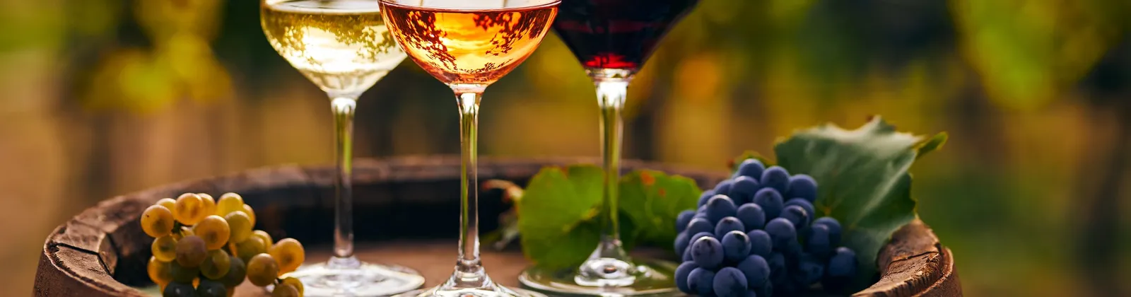 Pompeii - Wine & Olive oil tasting