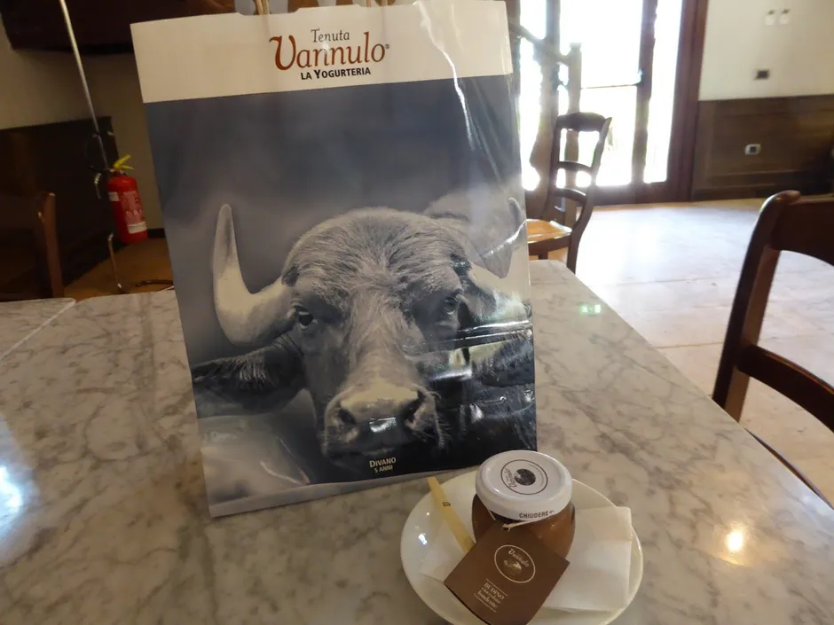 Excursion of Paestum with Buffalo Cheese Tasting-5