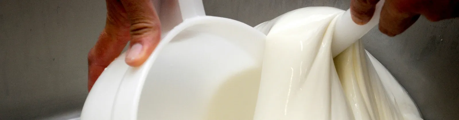 Paestum & Buffalo Mozzarella