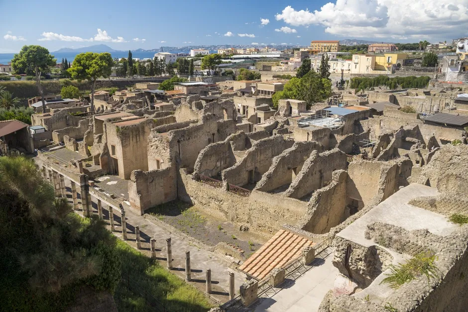 Herculaneum - Wine - Olive oil tasting