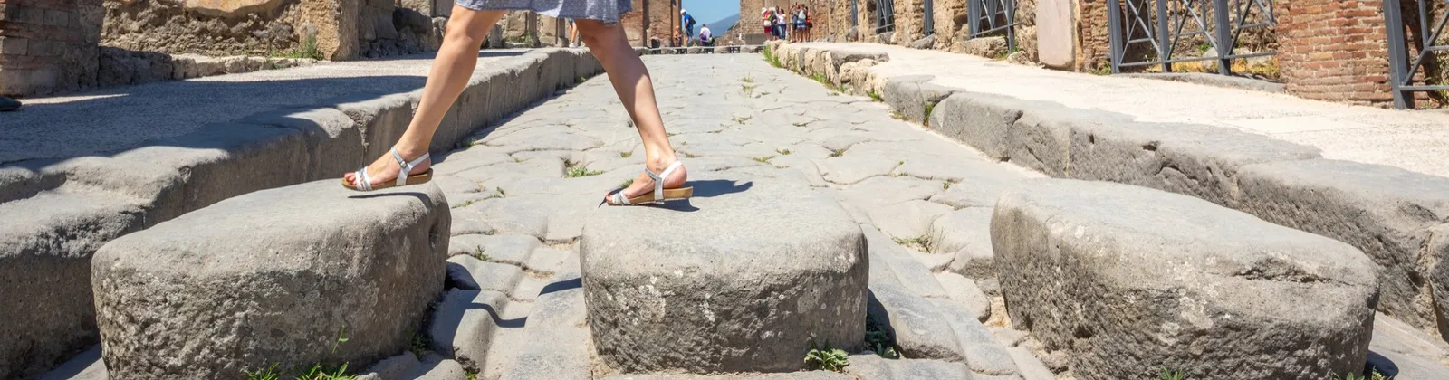 Pompeii, Herculaneum & Wine Tasting from Rome