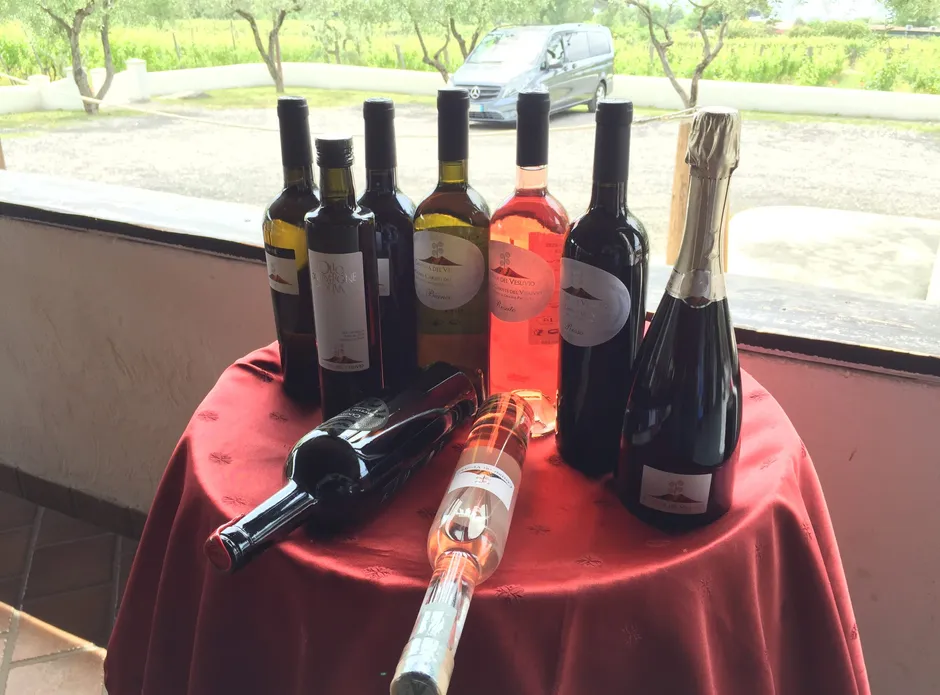 Pompeii-Wine tasting-5