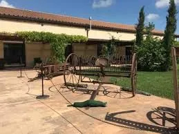 Excursion of Paestum with Buffalo Cheese Tasting-3