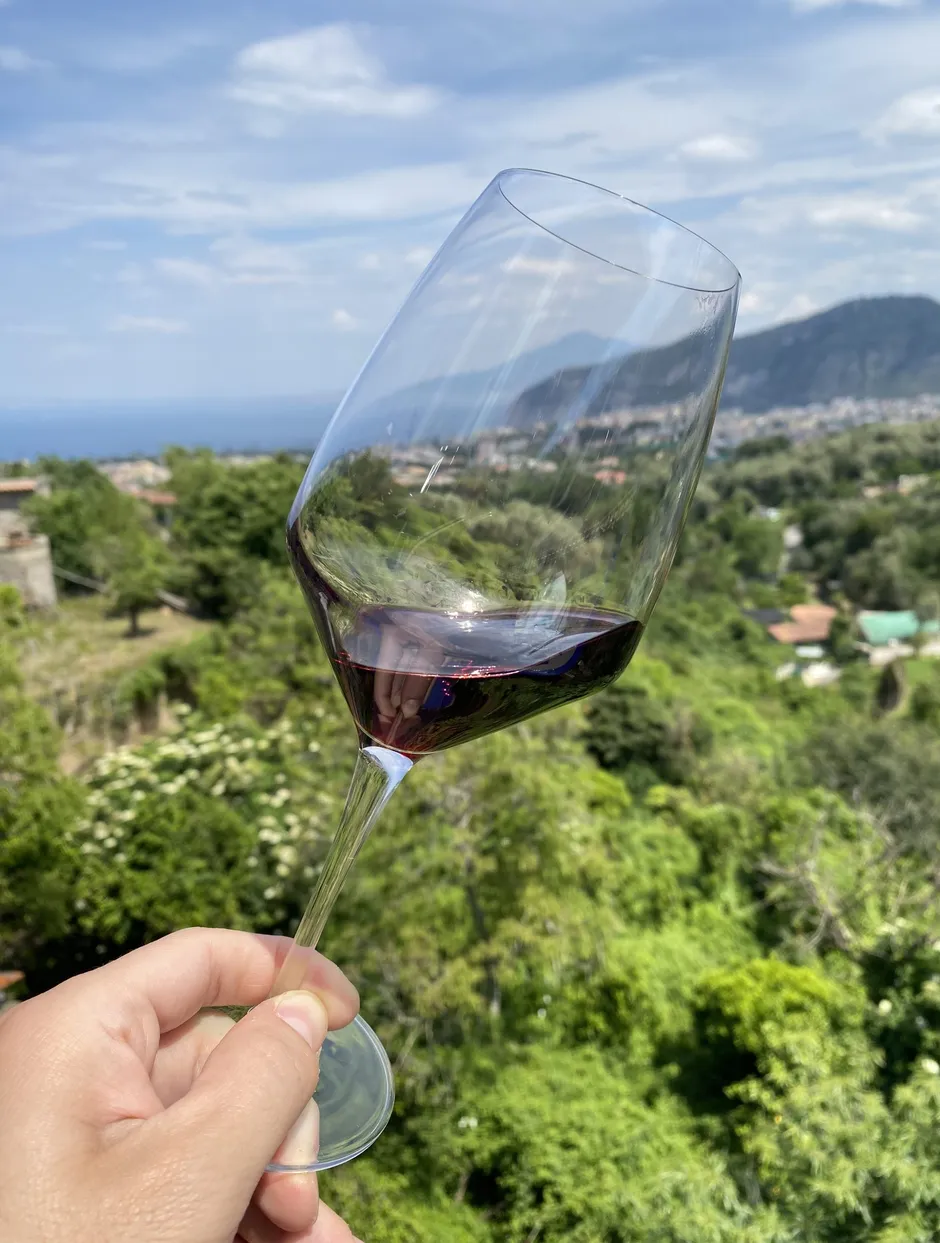 Positano Lunch & wine Olive oil tasting-6