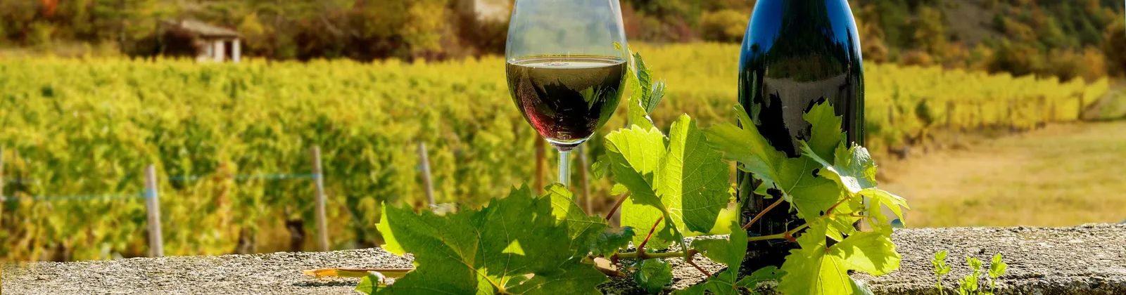 Excursion of Pompeii and Mount Vesuvius with Wine Tasting