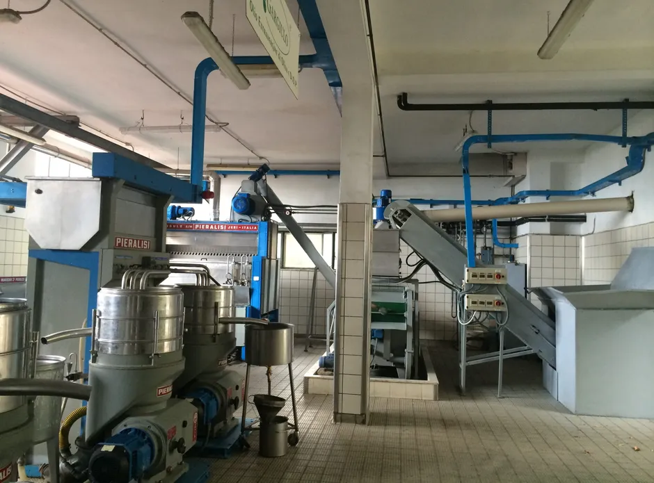 Herculaneum - Wine - Olive oil tasting-6